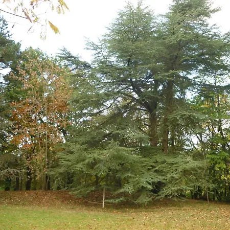 Stretcha Chateaubourg (Ille-et-Vilaine)